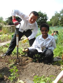 Picture of school children